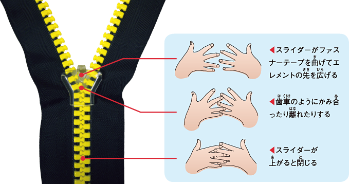 ファスナーはどうして簡単に開け閉めできるの おしごとはくぶつかん