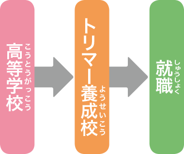 トリマーになるには？