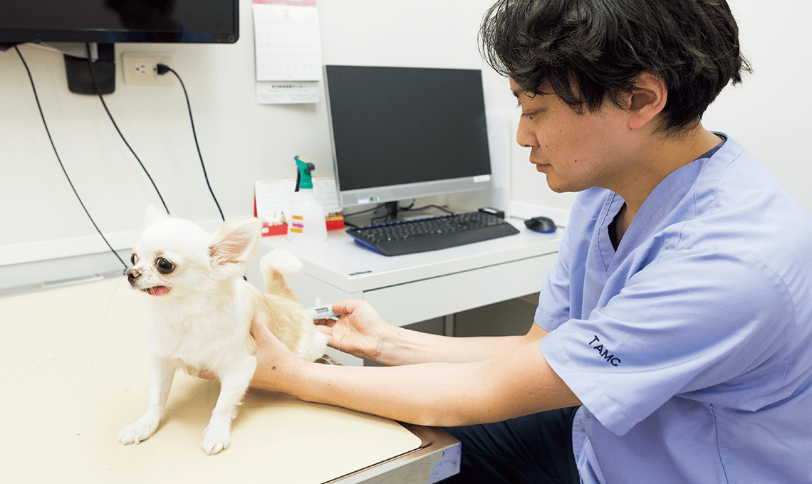 お尻に体温計を入れてチェック