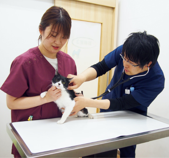 獣医師・動物看護師