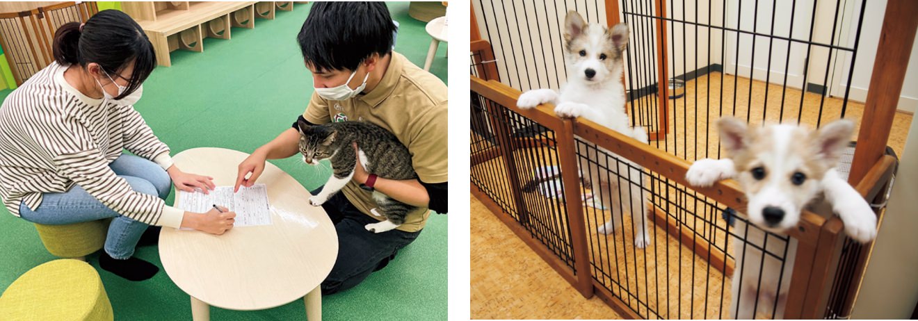 希望した人と保護犬猫が幸せに暮らせるか判断