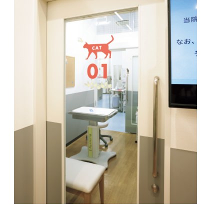 猫専用診察室