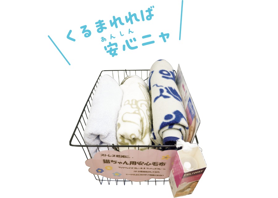 タオルや毛布は必需品！