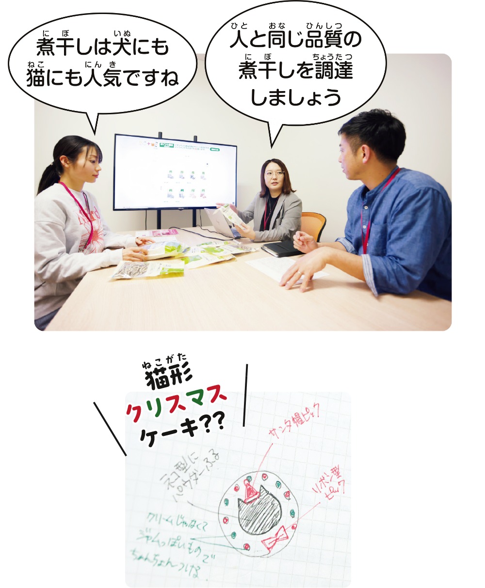企画、リサーチ（調査分析）、立案
