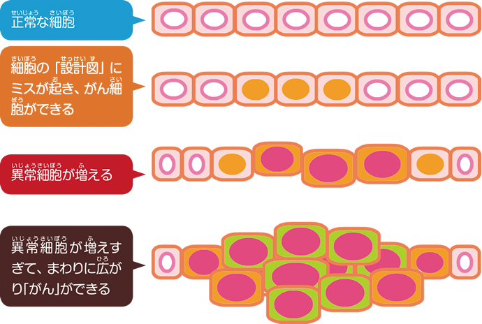 公益財団法人日本対がん協会