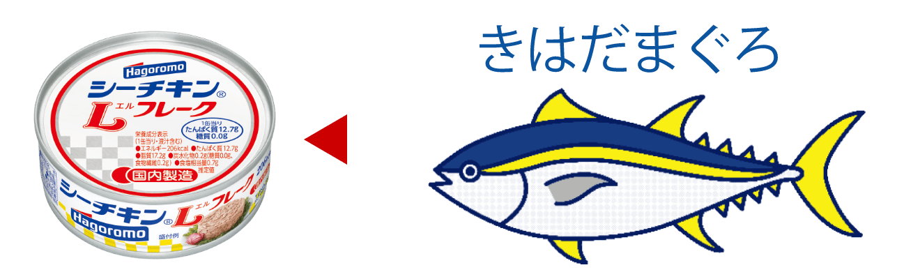 キハダマグロ