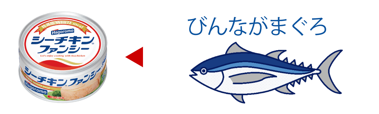 ビンナガマグロ
