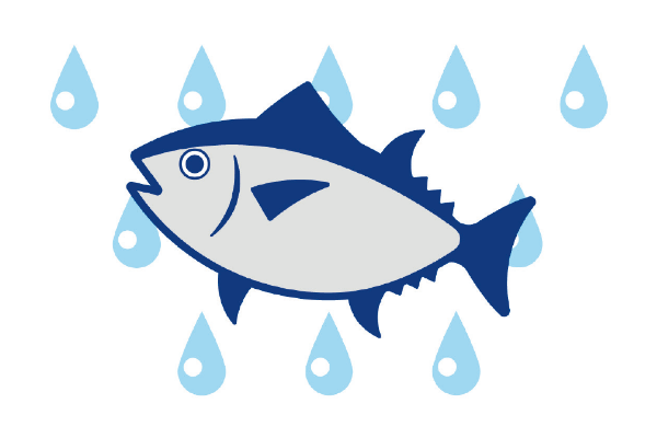 魚を解凍する
