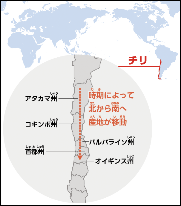 チリ国内でも時期によって産地が変わる