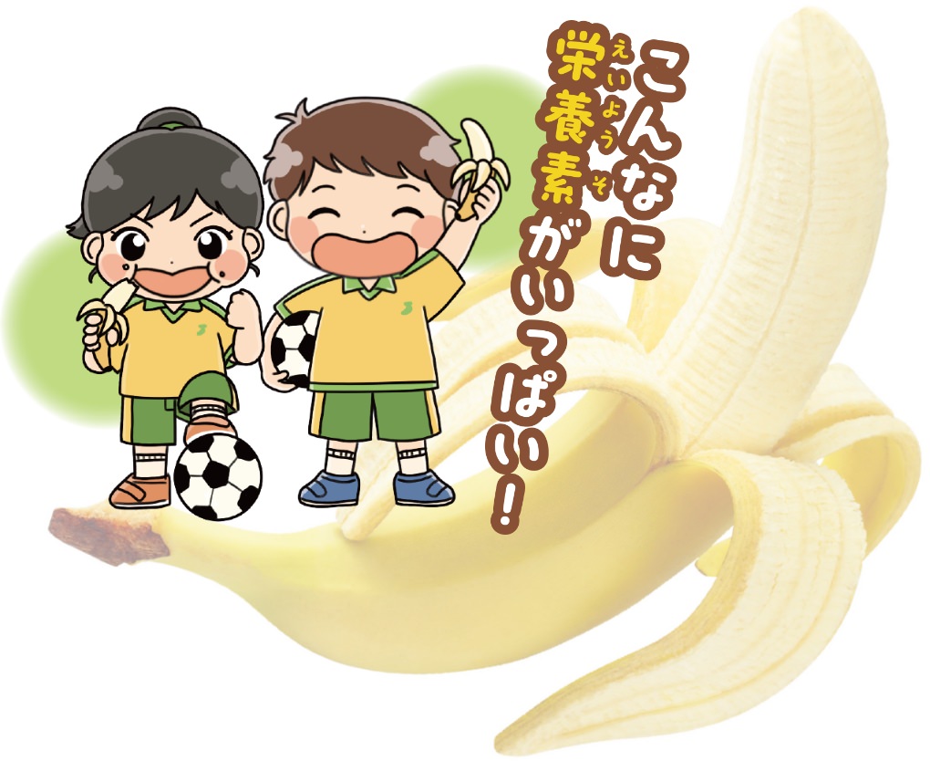 こんなに栄養素がいっぱい!