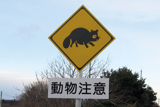 動物標識