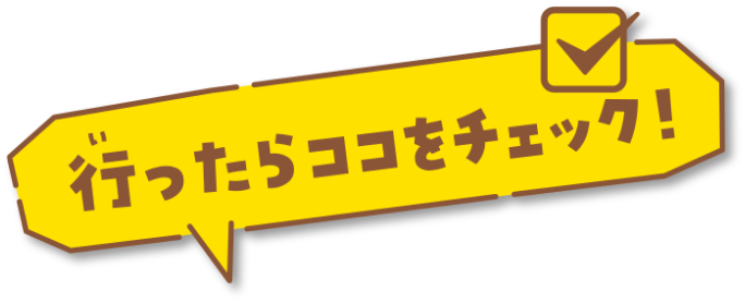 行ったらここをチェック