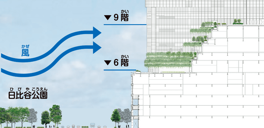 近くの公園とのつながりを重視して、緑を活かした設計