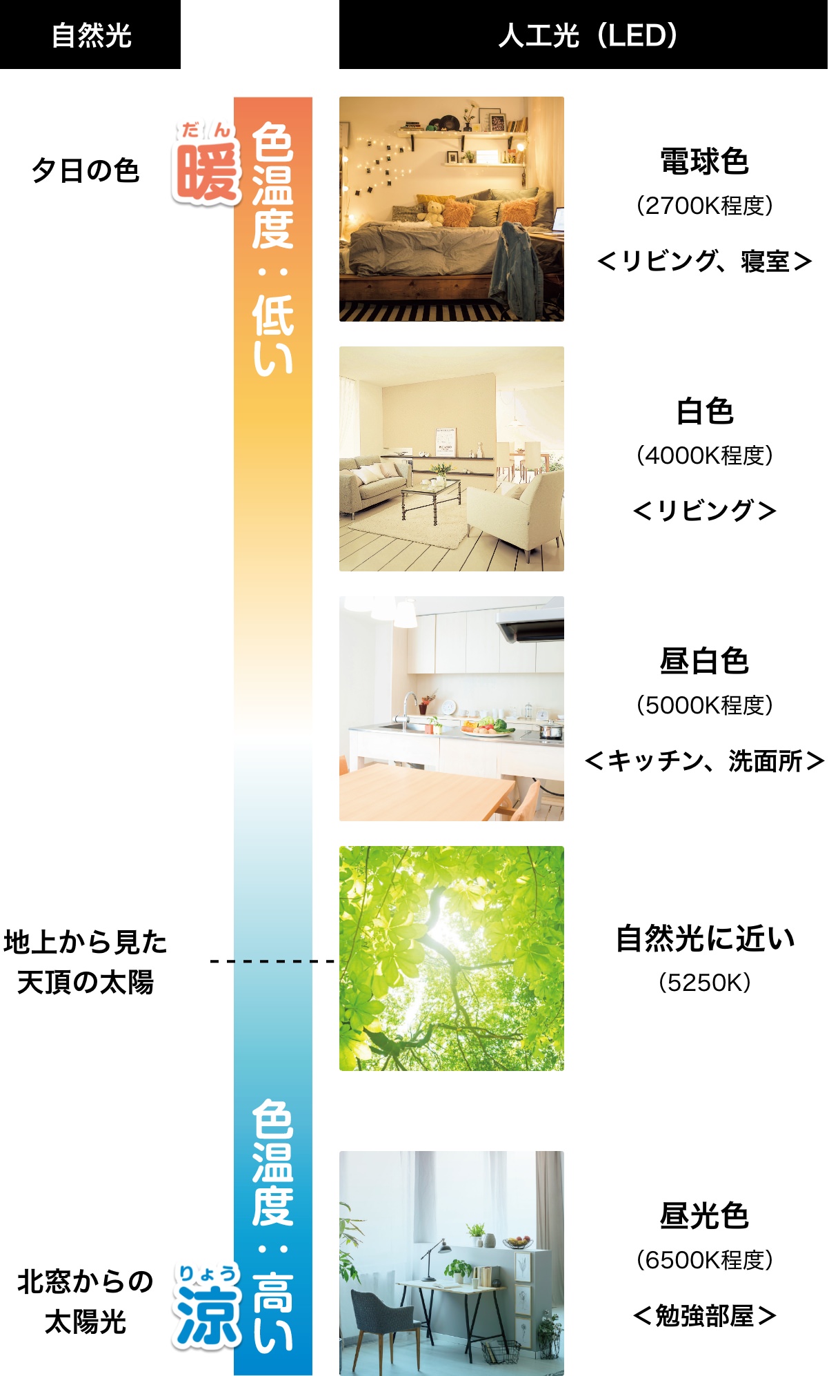 自然光と人工光の色温度の関係