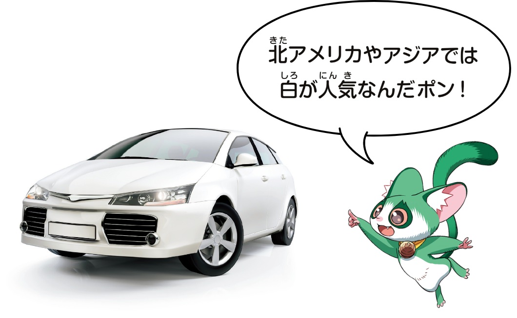 北アメリカでは、白が人気なんだポン