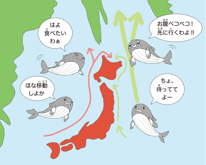 クジラのルート