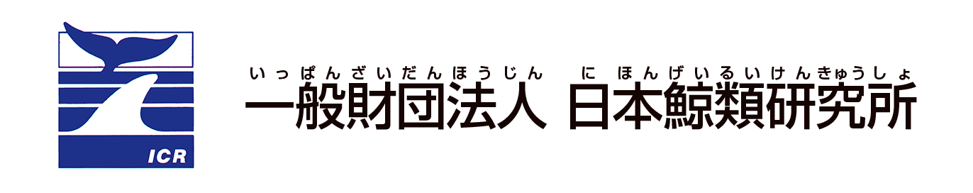 一般財団法人 日本鯨類研究所