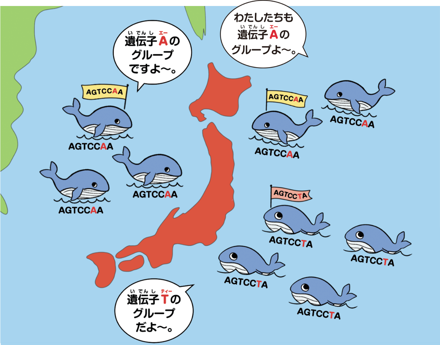 クジラの分布図