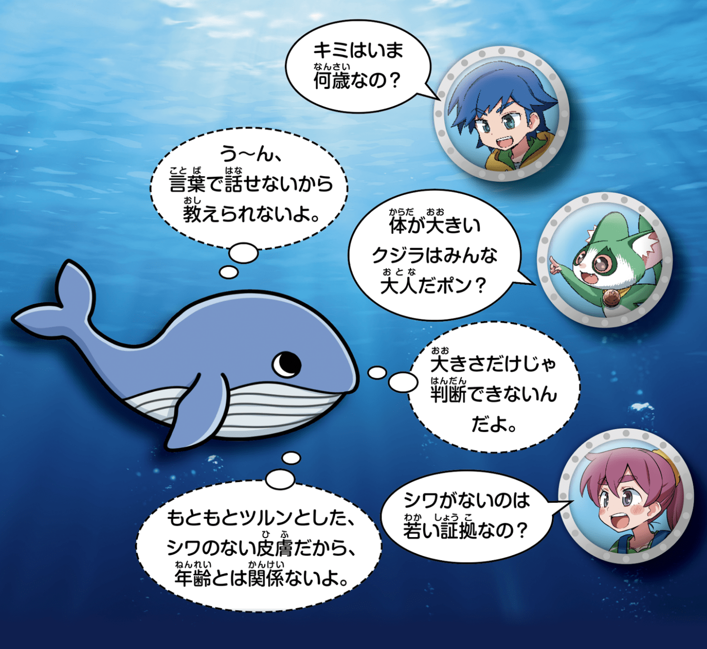 クジラの年齢は、クジラから採取したサンプルを分析することでわかります。