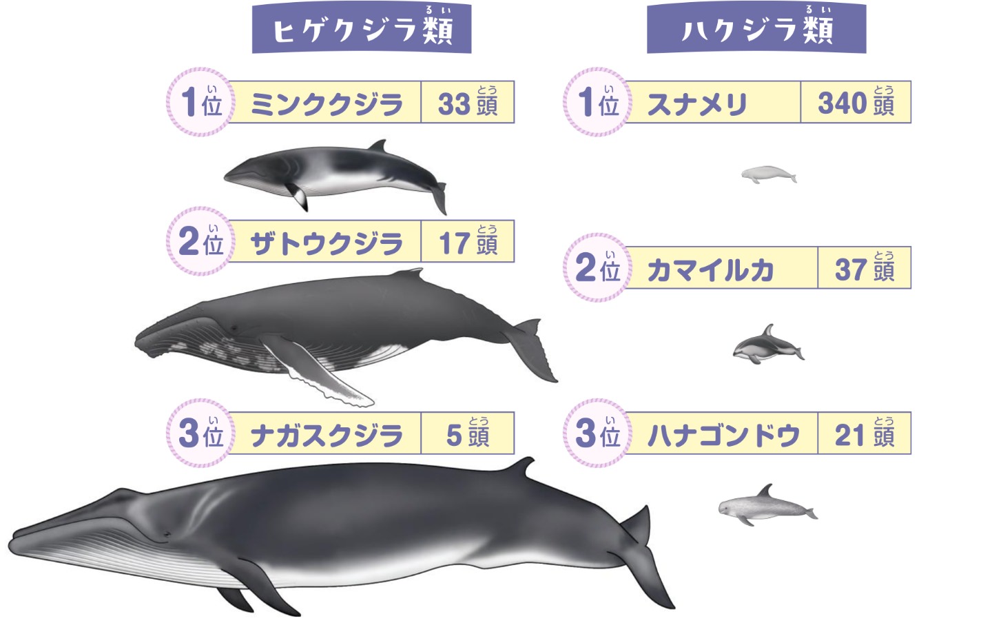 国内で発見されたストランディングの例