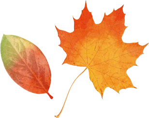 紅葉の葉っぱ