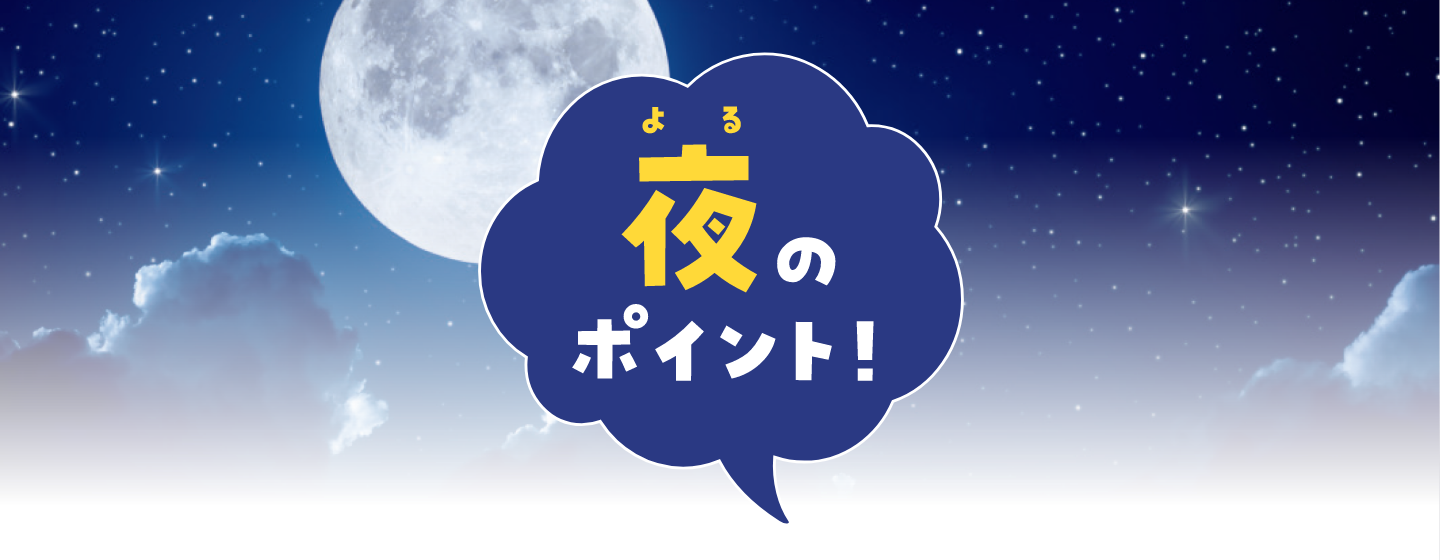 夜のポイント