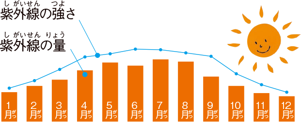 季節による紫外線の強さと量の変化