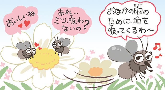 血を吸うのは卵をもったメスの蚊だけ!