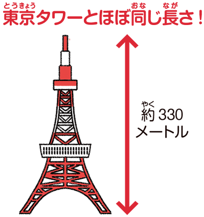 東京タワーとほぼ同じ長さ！