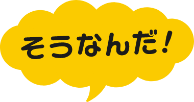 そうなんだ