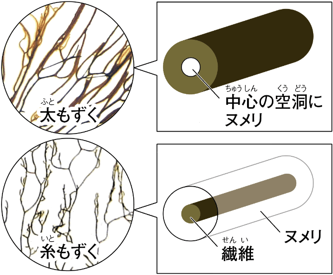 食感が変わります