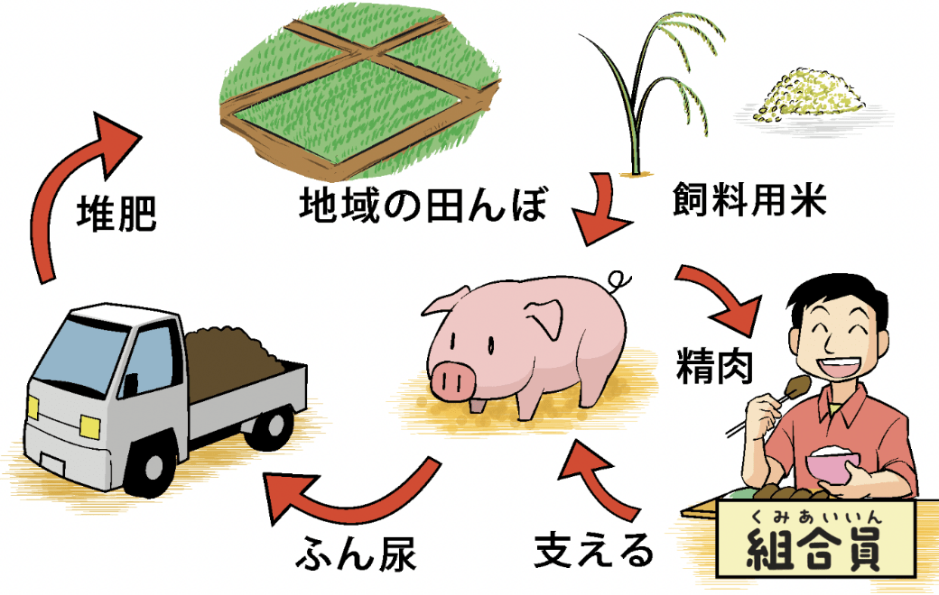 こめ豚中心の循環図