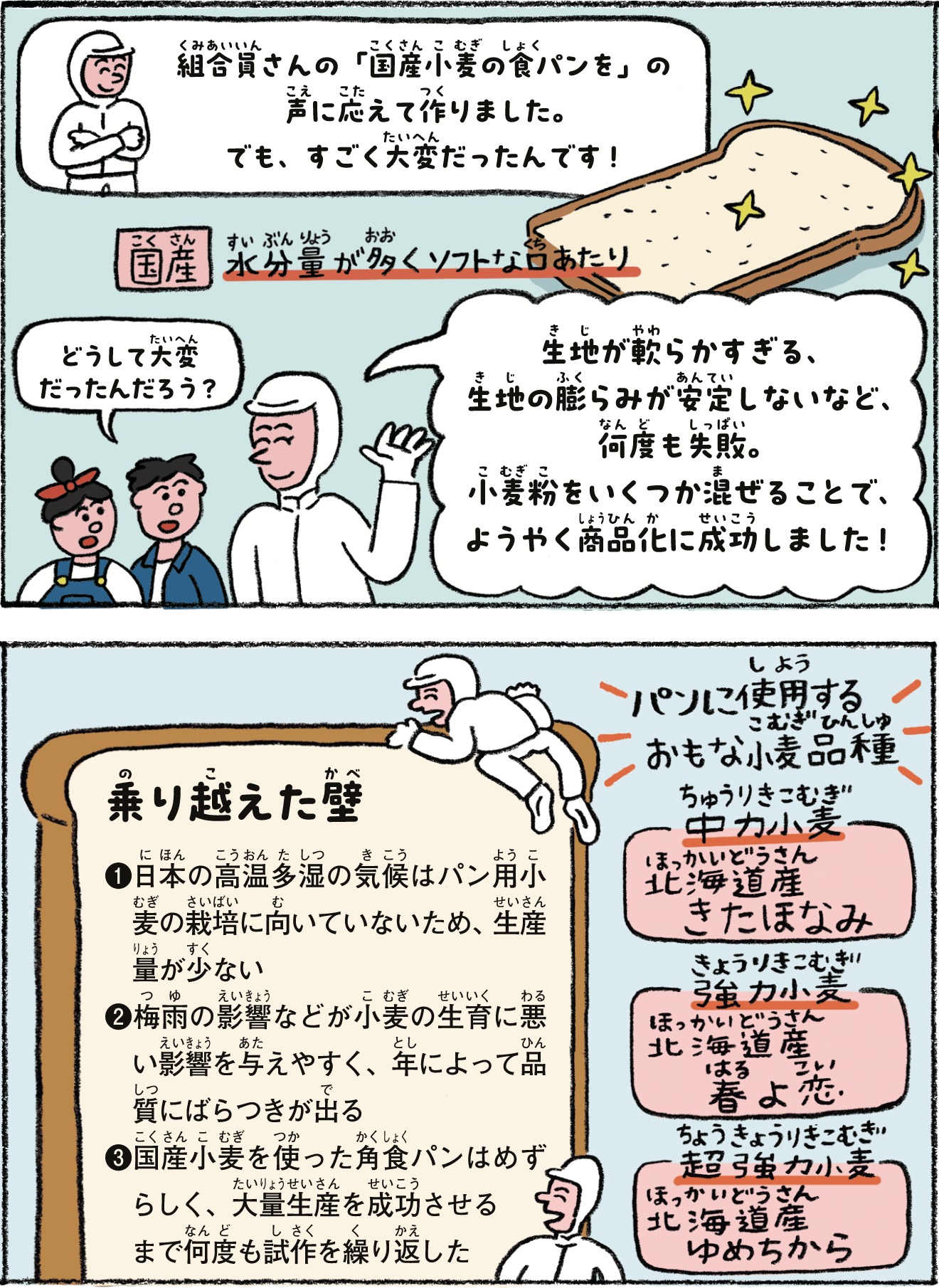 組合員さんの「国産小麦の食パンを」の声に応えて作りました