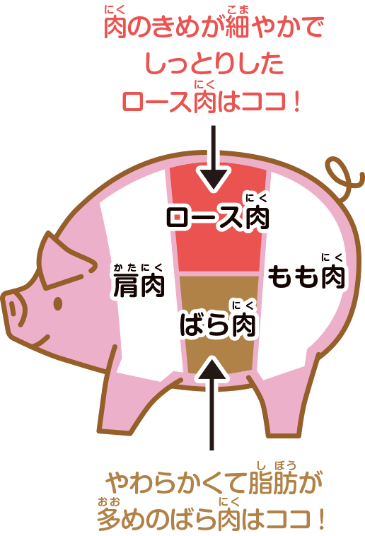 ロースハムやベーコンになるお肉はどこ？