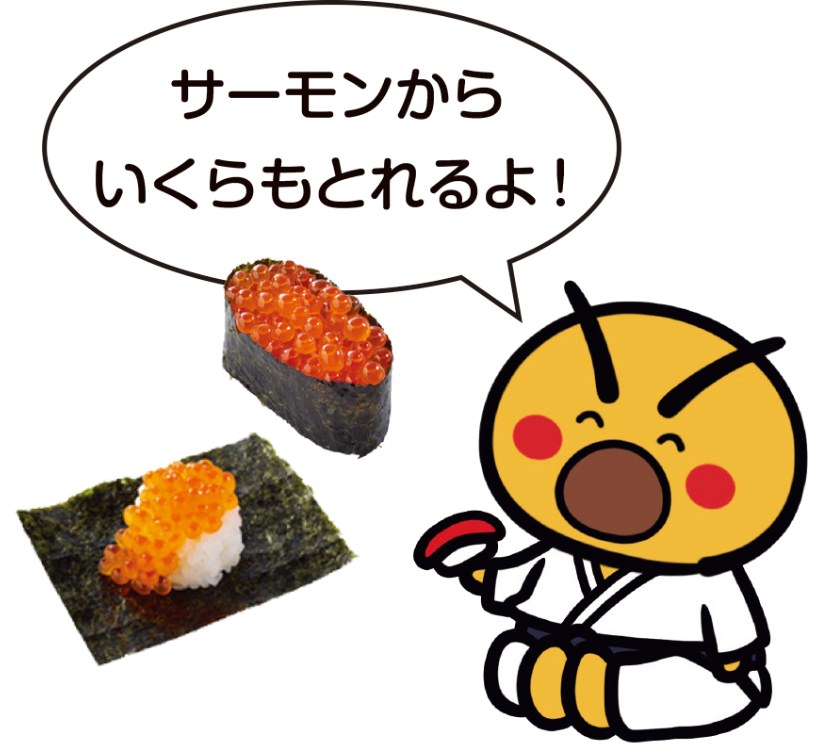 げんきくんとサーモンといくら