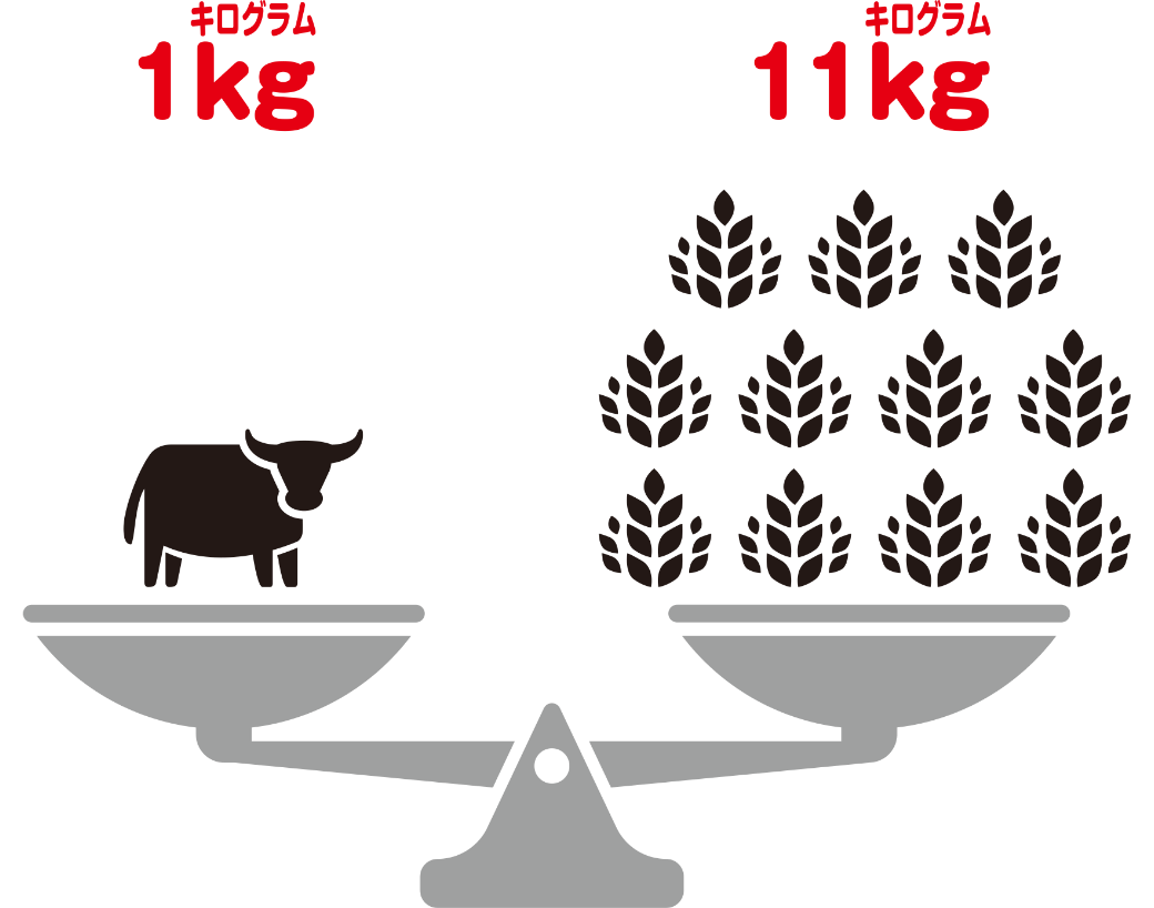 牛肉をつくるのに必要な穀物の量