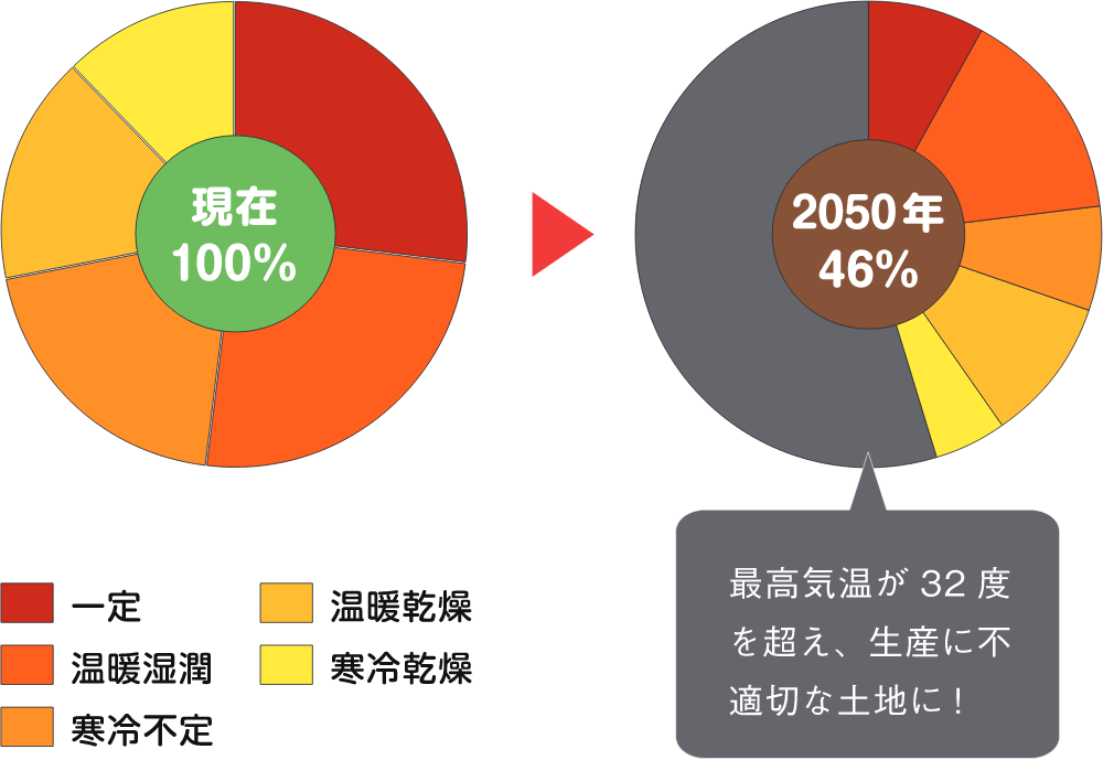 WCR年次報告書2017