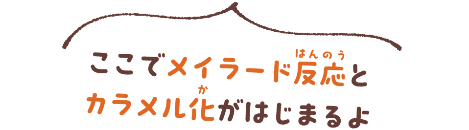 ここでメイラード反応とカラメル化がはじまるよ