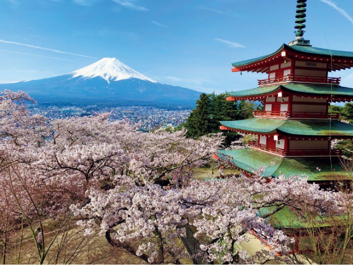 富士山と寺院と桜を写真におさめられる写真スポットとして海外で有名に