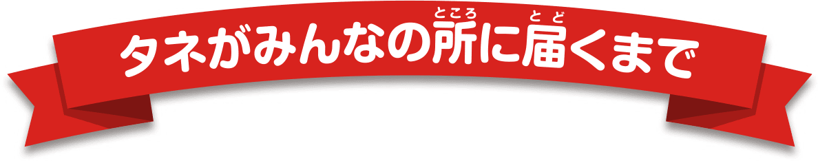 タネがみんなの所に届くまで