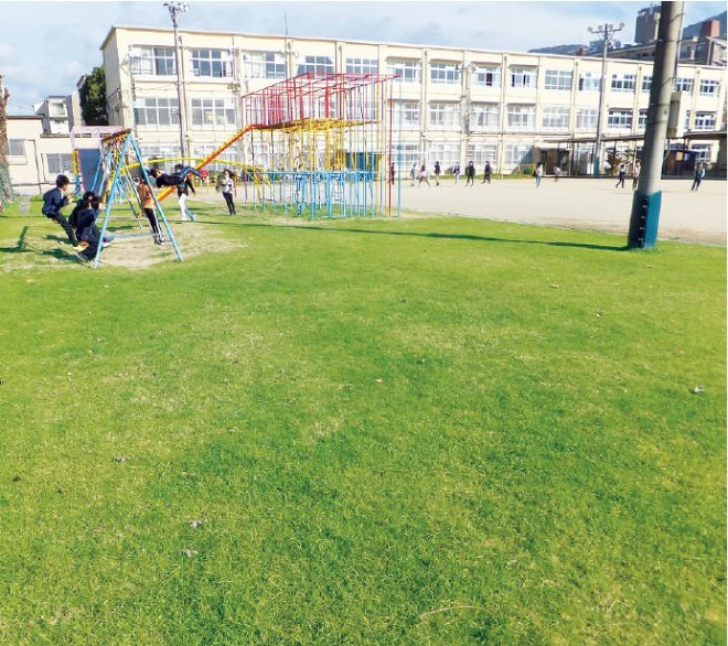 京都市立醍醐西小学校の芝生の校庭