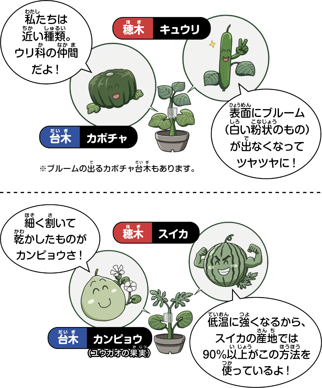 苗の意外な組み合わせ