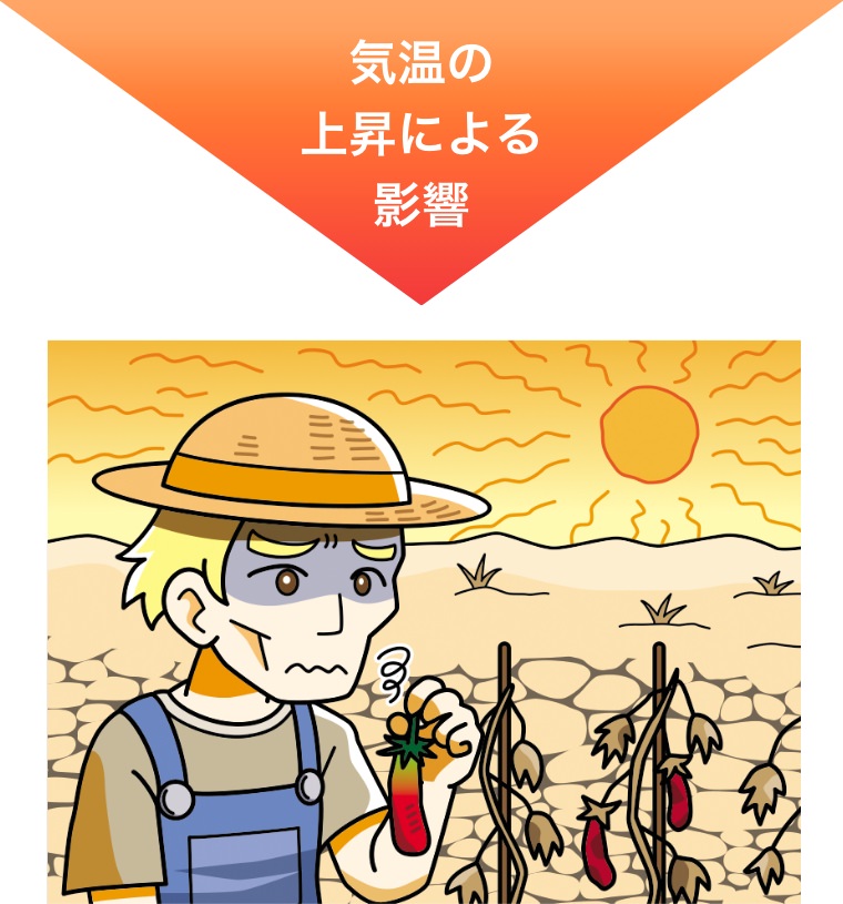 気温の上昇による影響
