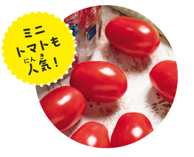 千恋（ちこ）