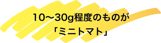10~30g程度のものが「ミニトマト」