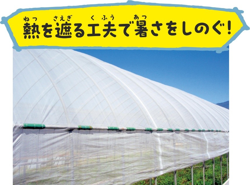 熱を遮る工夫で暑さをしのぐ！