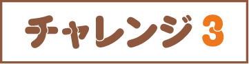 チャレンジ3