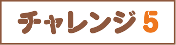 チャレンジ5