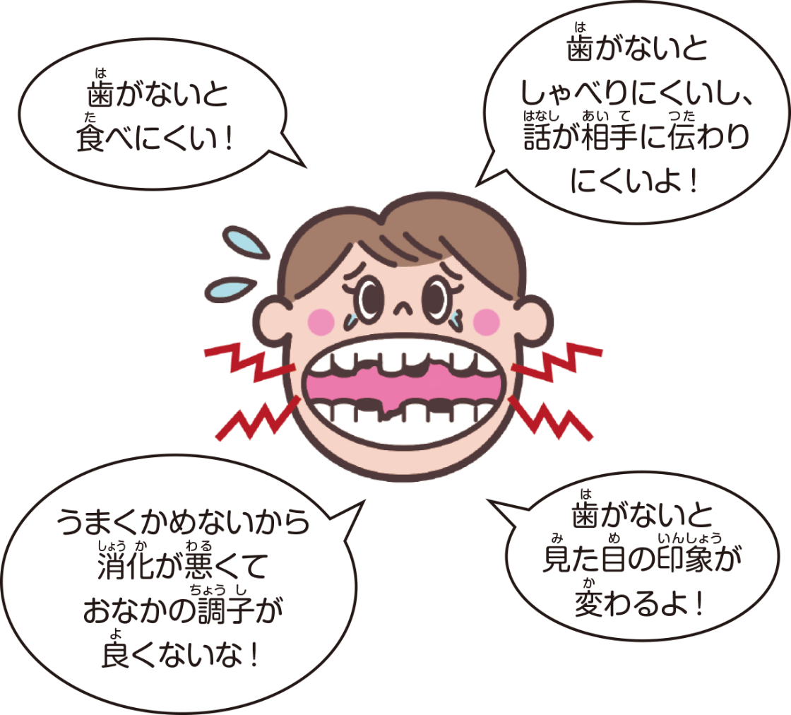 歯は食べるだけではなく、さまざまな役割を持っている