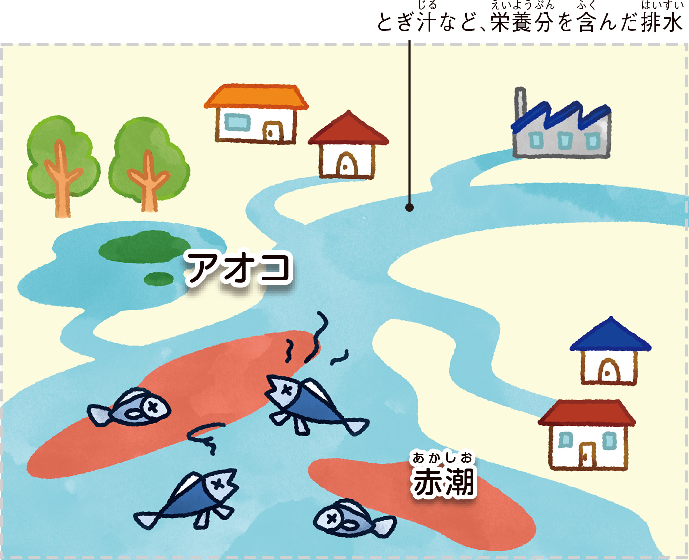 富栄養化でアオコや赤潮が発生